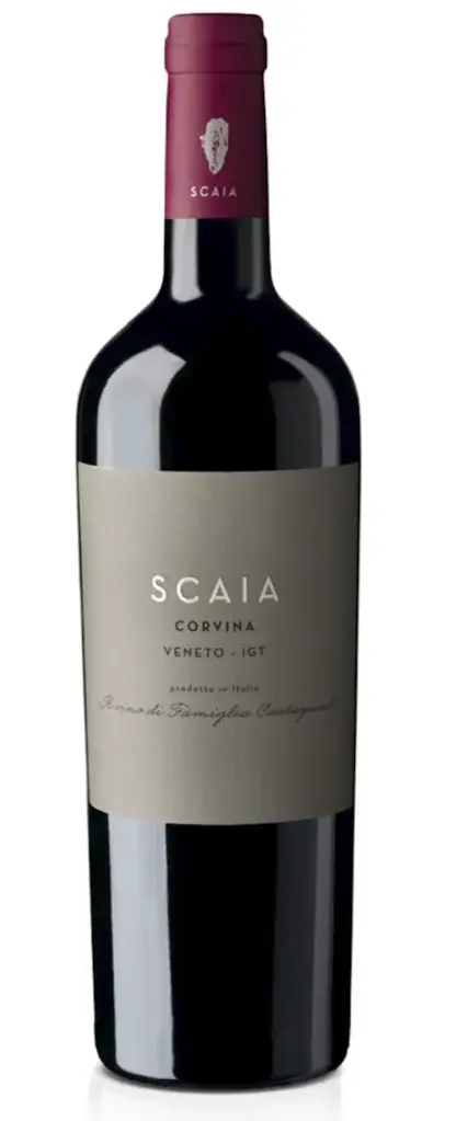 Scavia corvina